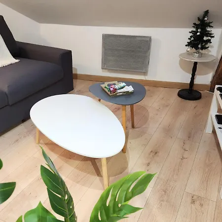 Le 6ème Ciel De Gutenberg - Climatisé Apartamento Tours