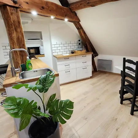 Le 6eme Ciel De Gutenberg - Climatise Apartman Tours