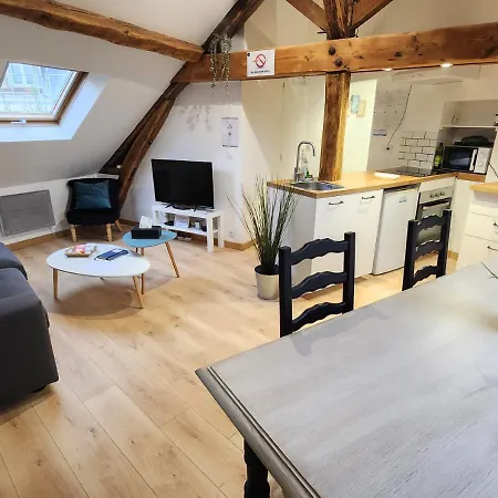 Apartment Le 6eme Ciel De Gutenberg - Climatise Tours