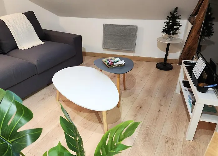 Le 6ème Ciel De Gutenberg - Climatisé Apartamento Tours