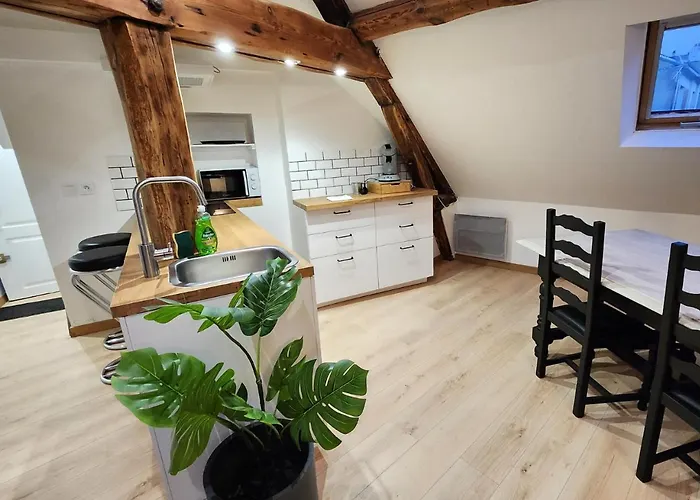 Le 6eme Ciel De Gutenberg - Climatise Appartement Tours
