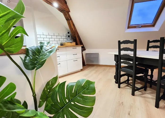 Le 6ème Ciel De Gutenberg - Climatisé * Tours