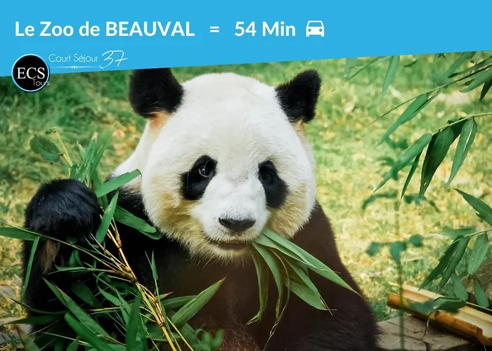 Le 6ème Ciel De Gutenberg - Climatisé *